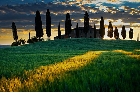 dawn, sunset, field, sunrise thumbnail