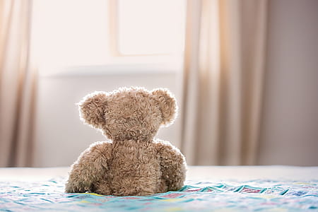 Brown Bear Plush Toy On Bed thumbnail