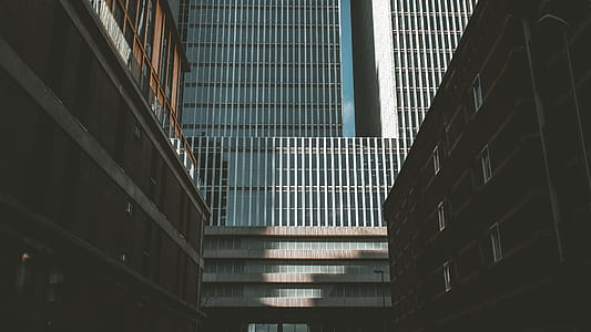 low angle photo of high rise buildings thumbnail