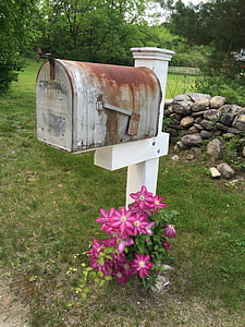 white and gray rusted mailbox near trees thumbnail