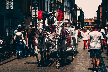 a man riding a Carriage thumbnail