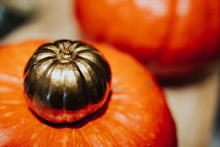 Golden ornamental pumpkins decorations thumbnail