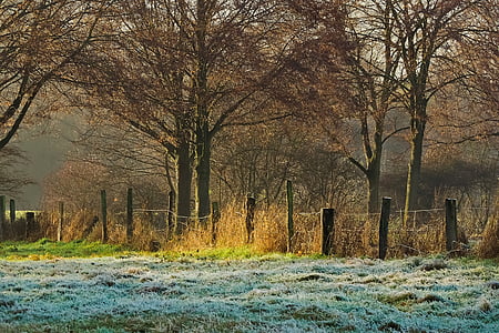 fenced pathway near trees during daytime thumbnail