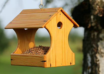 selective focus photo of brown wooden bird feeder thumbnail