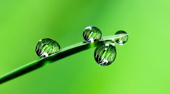 macro photography of water droplets thumbnail