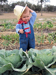 toddler's wearing cowboy suit standing near cabbage plant thumbnail