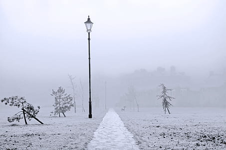 black light post near path and trees thumbnail