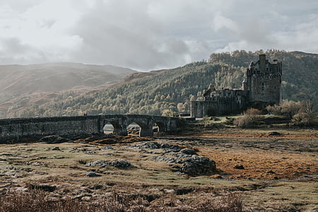 bird's-eye photography of castle in forest thumbnail