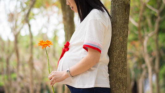 pregnant woman wearing white and red cap-sleeved blouse thumbnail