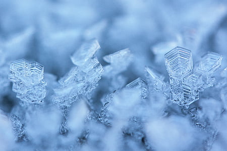 selective photography of snowflakes thumbnail