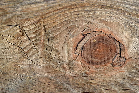brown wooden slab photography thumbnail