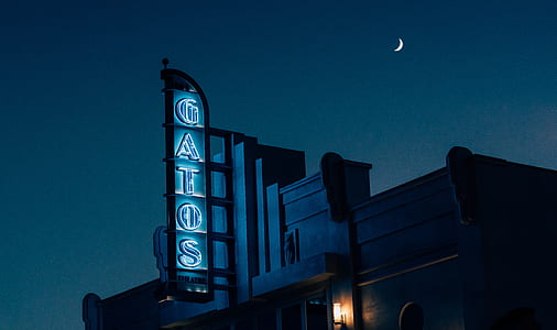turned-on Gatos neon signage thumbnail