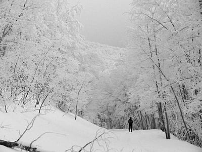 person walking in the snow thumbnail