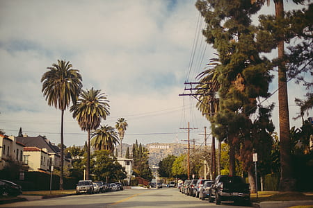 vehicles on roadside thumbnail