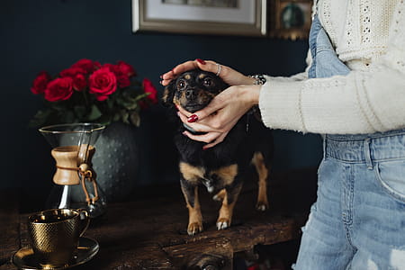 Enjoying a finely brewed coffee and playing with a dog thumbnail