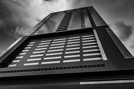 low-angle grayscale photo of curtain wall building thumbnail