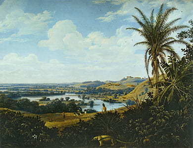 trees near body of water thumbnail
