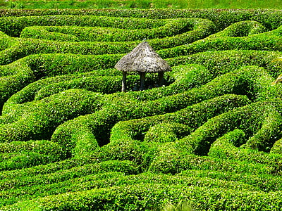 brown tiki hut in the middle of maze bush during day thumbnail