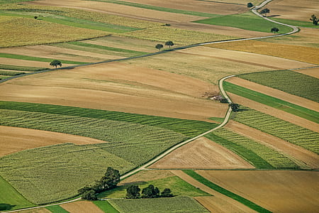 aerial photograph of brown and green field thumbnail