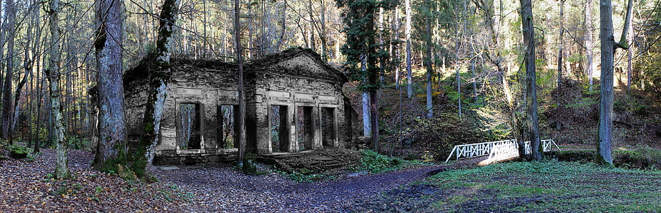abandoned concrete house in forest at daytime thumbnail