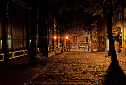 Silent Street during Night thumbnail