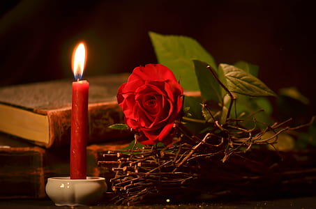 red rose beside taper candle thumbnail