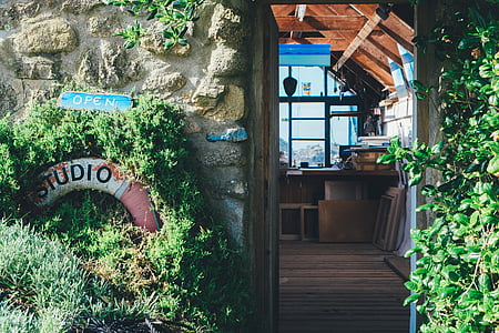 Studio signage on green grass wall art beside building thumbnail