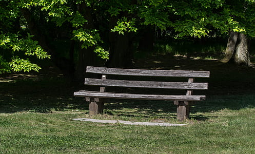grey wooden bench near green leafed tree thumbnail