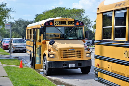 parked yellow school bus thumbnail