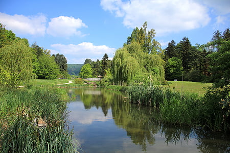 body of water between trees thumbnail