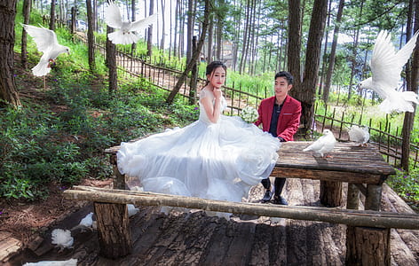 woman sitting on brown wooden picnic table beside the man near the tree at daytime thumbnail