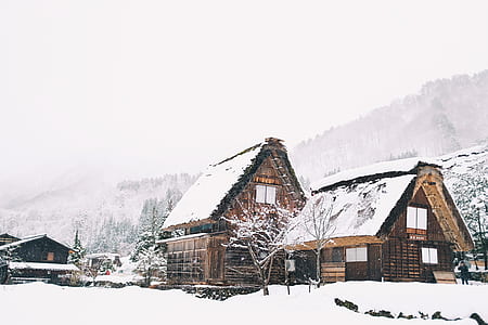 snow-covered cabin near trees and mountains thumbnail