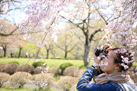 woman capturing photo of pink flower thumbnail