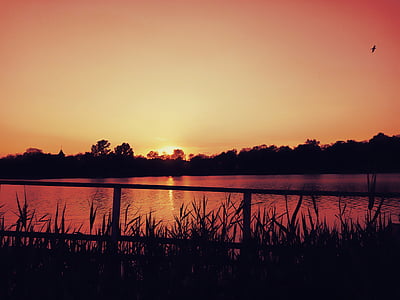 metal rails near body of water during golden hour thumbnail