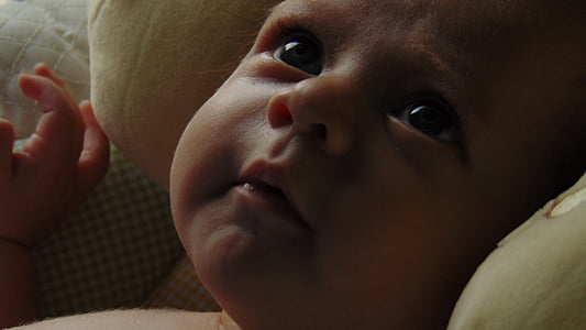 macro shot photography of baby thumbnail