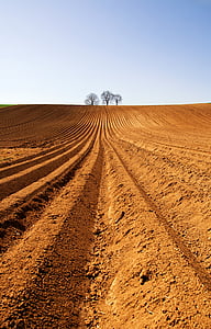 three black tree near brown soil under blue sky thumbnail