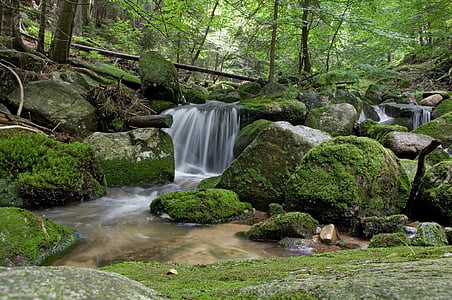 landscape photograph of flowing water between trees thumbnail