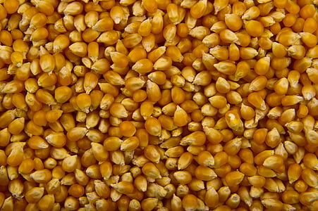corn bits thumbnail