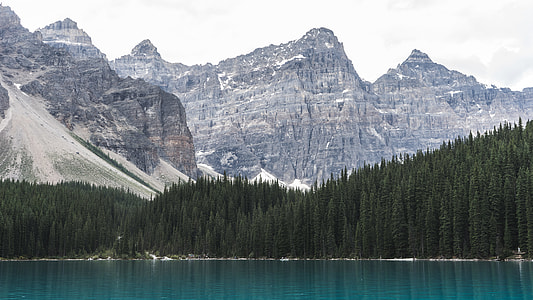 mountain and green pine trees beside the body of water thumbnail
