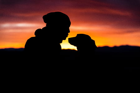 sunset, silhouette, person, dog thumbnail
