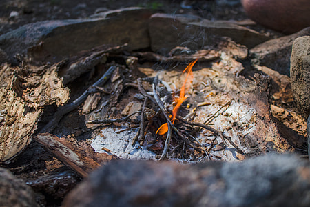 campfire, flame, twigs, firewood thumbnail