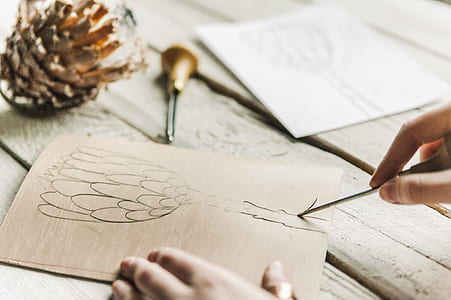 Person Sketching Flower thumbnail