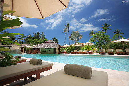 sun loungers beside pool thumbnail