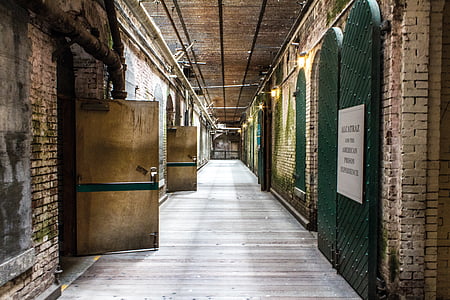 two opened brown doors thumbnail
