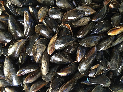 black muscles thumbnail
