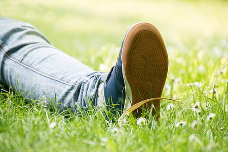 person sitting on green grass field thumbnail