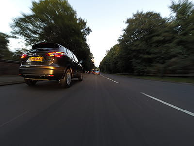 cars, road, vehicles, trees thumbnail