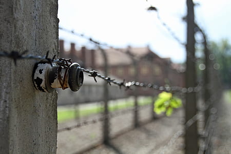 selective focus photo of barb wire thumbnail