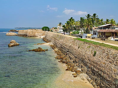 houses and trees beside the sea thumbnail