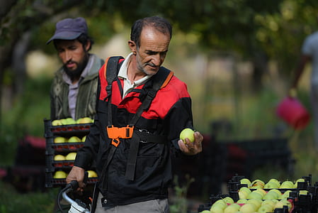 man holding fruit during daytime thumbnail